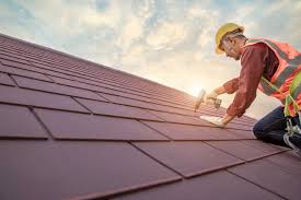 Best Roof Maintenance and Cleaning  in Dyersburg, TN